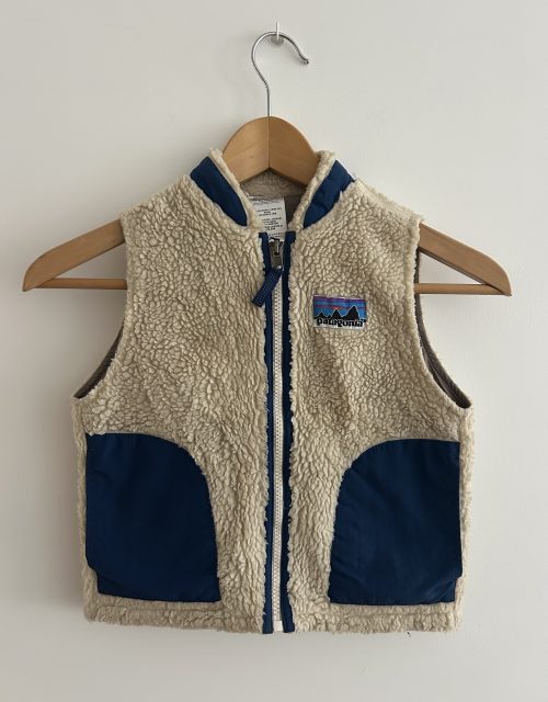 Patagonia Retro-X fleece vest