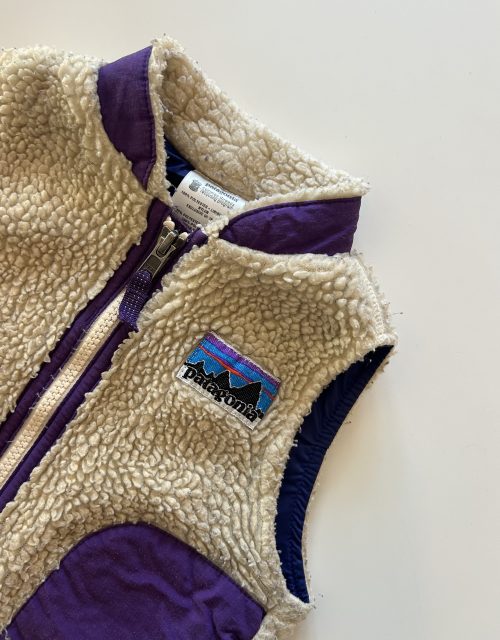Patagonia Retro-X fleece vest