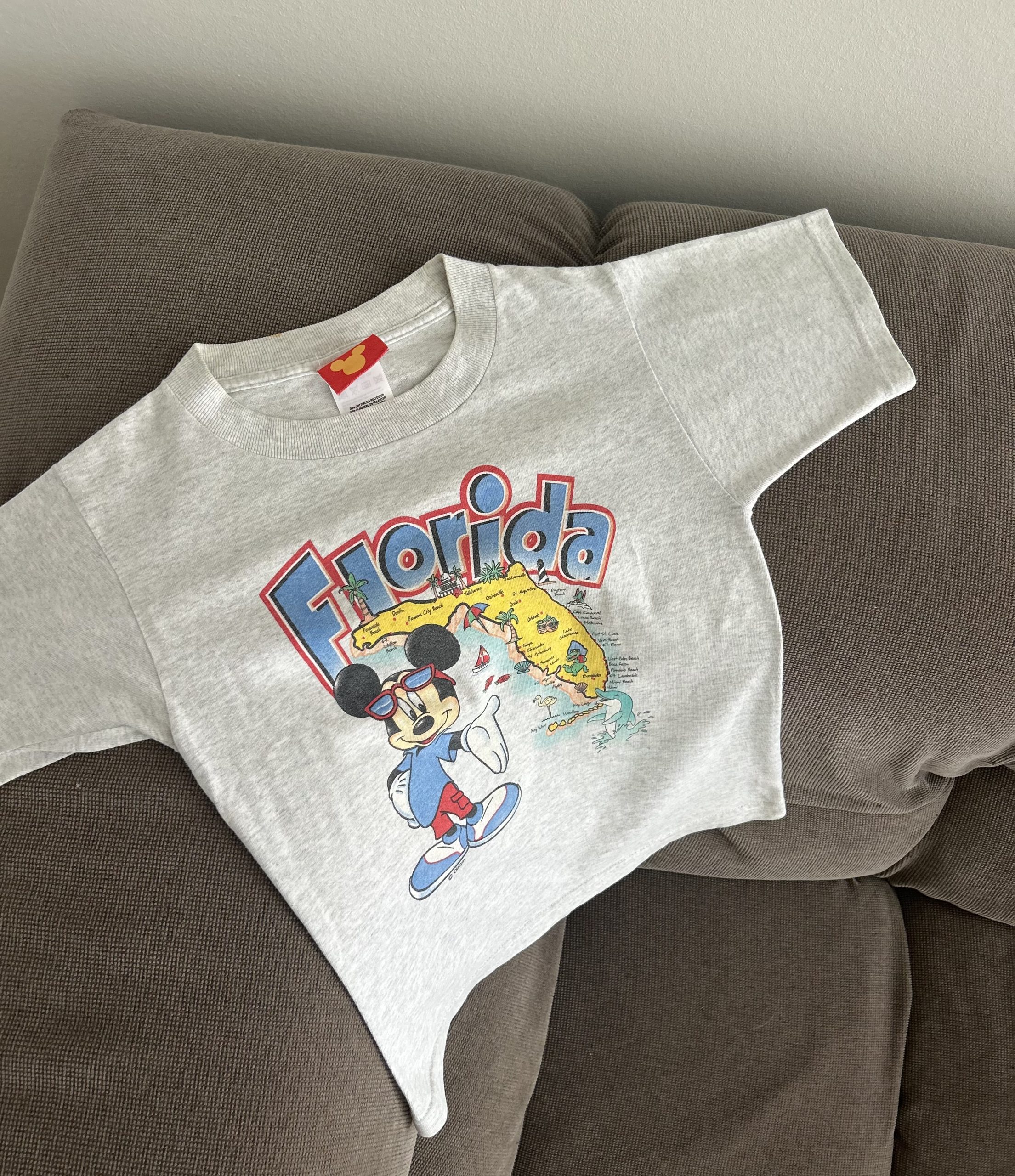 Mickey crewneck shirt