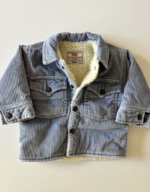 Levis sherpa parka