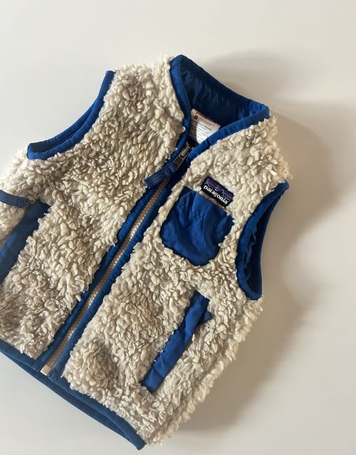 Patagonia Retro-X vest