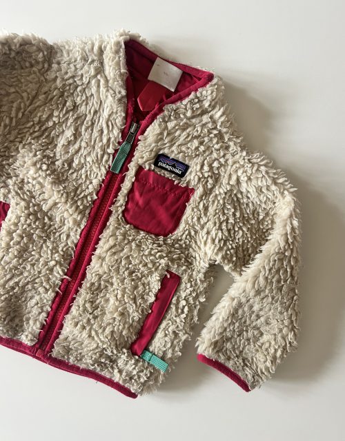 Patagonia Retro-X vest